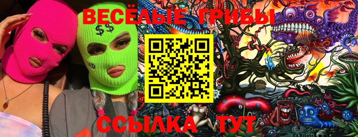 Зеленогорск  Галлюциногенные грибы MAGIC MUSHROOMS  Псилоцибиновые грибы ЛСД  Вход с VPN 